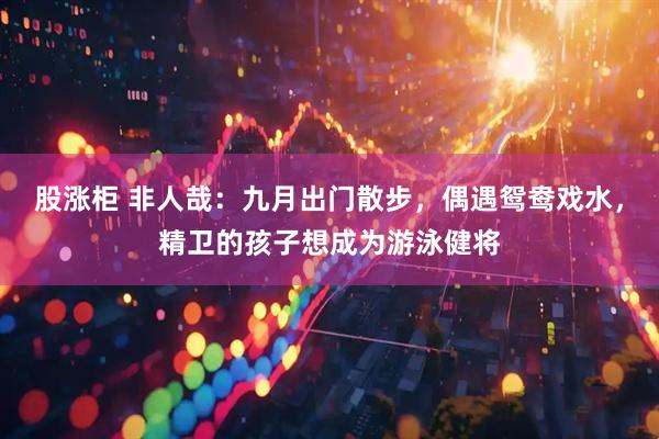 股涨柜 非人哉：九月出门散步，偶遇鸳鸯戏水，精卫的孩子想成为游泳健将