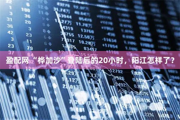 盈配网 “桦加沙”登陆后的20小时，阳江怎样了？