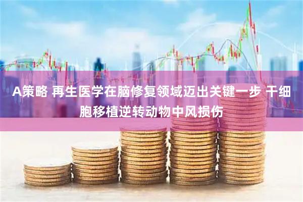 A策略 再生医学在脑修复领域迈出关键一步 干细胞移植逆转动物中风损伤