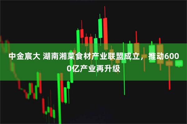 中金宸大 湖南湘菜食材产业联盟成立,推动6000亿产业再升级
