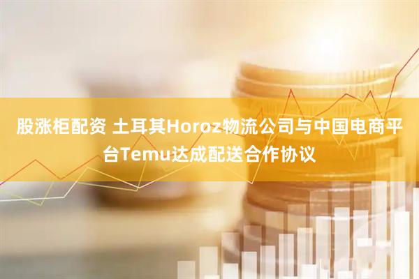 股涨柜配资 土耳其Horoz物流公司与中国电商平台Temu达成配送合作协议