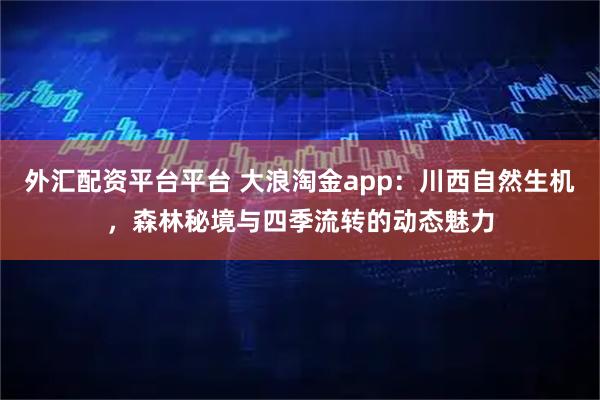 外汇配资平台平台 大浪淘金app：川西自然生机，森林秘境与四季流转的动态魅力